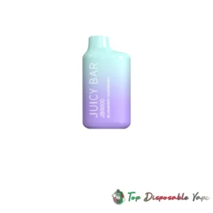 Buy Blueberry Raspberry Juicy Bar JB5000 - USA